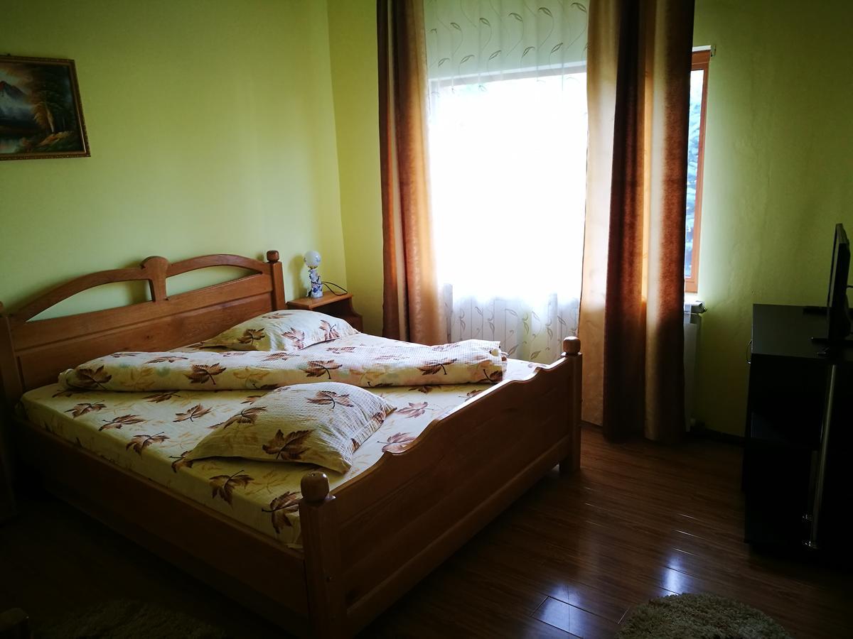 Pensiunea Ramona Cărpinişu Exterior foto