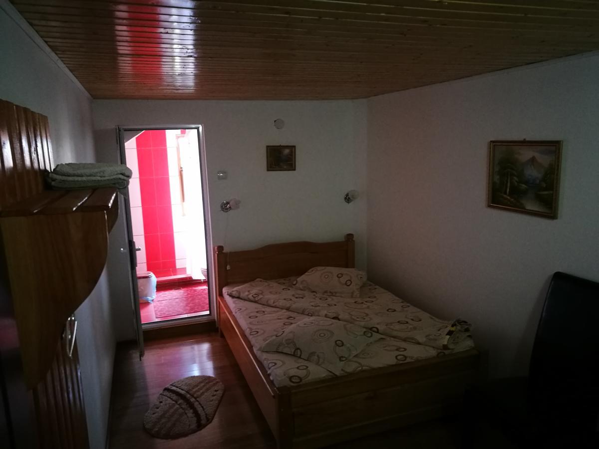 Pensiunea Ramona Cărpinişu Exterior foto