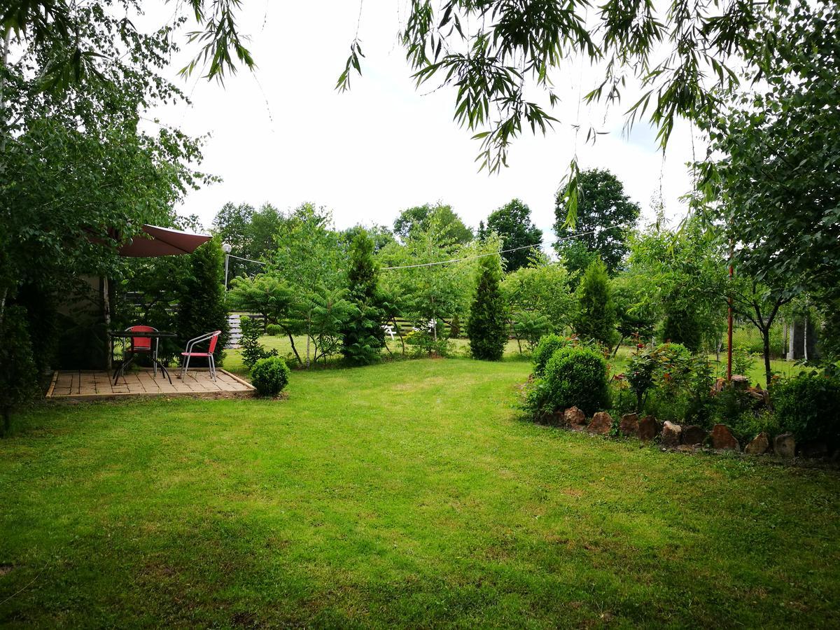 Pensiunea Ramona Cărpinişu Exterior foto
