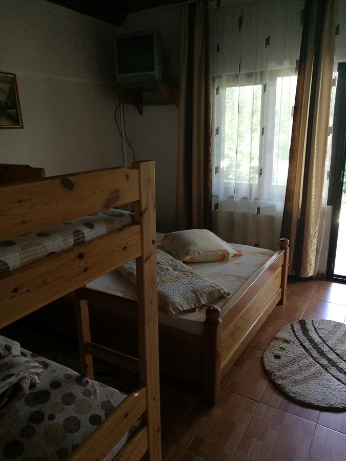 Pensiunea Ramona Cărpinişu Exterior foto