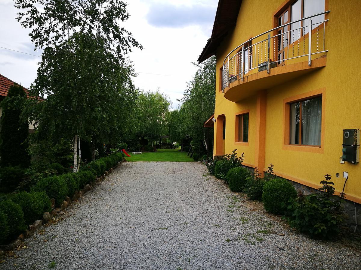 Pensiunea Ramona Cărpinişu Exterior foto