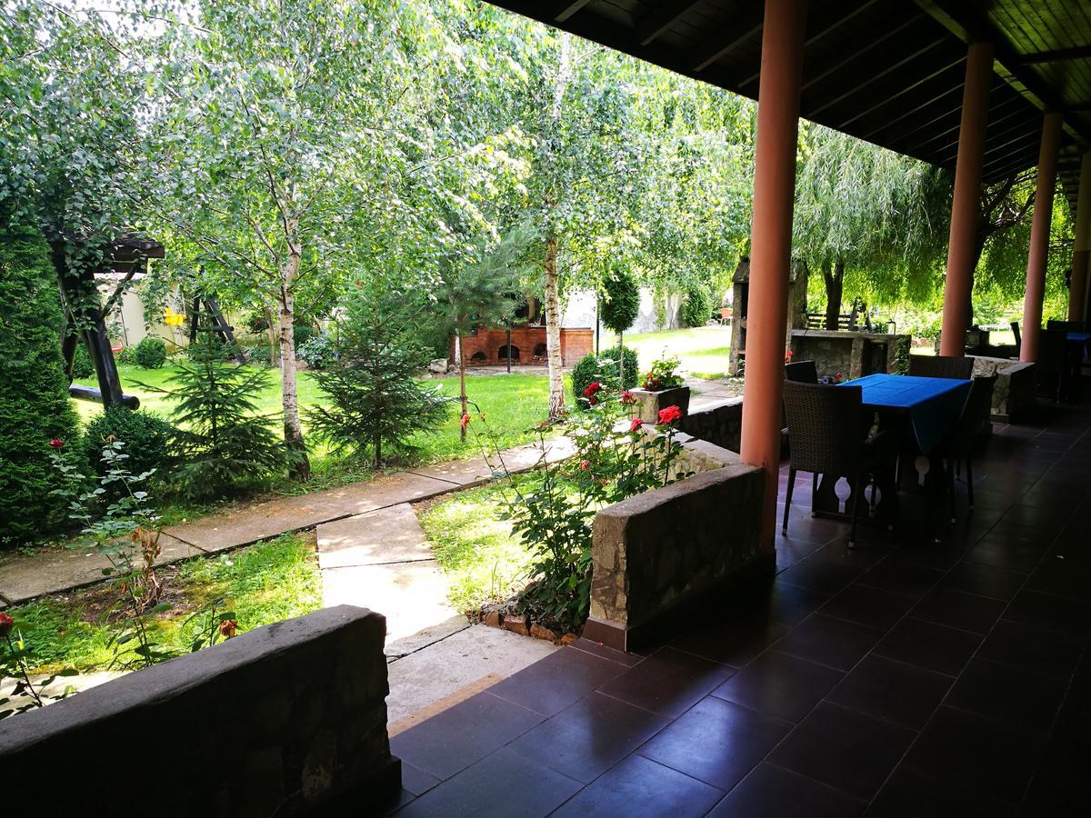 Pensiunea Ramona Cărpinişu Exterior foto