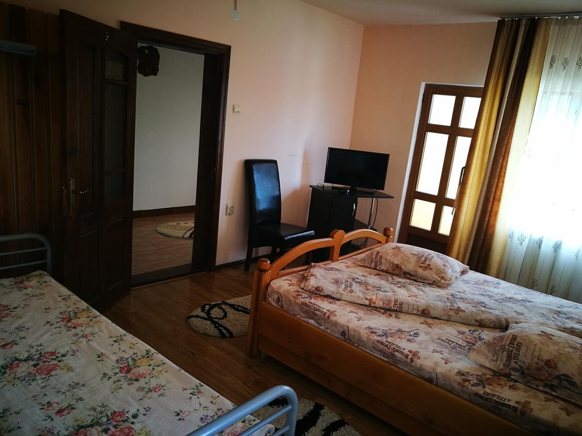 Pensiunea Ramona Cărpinişu Exterior foto