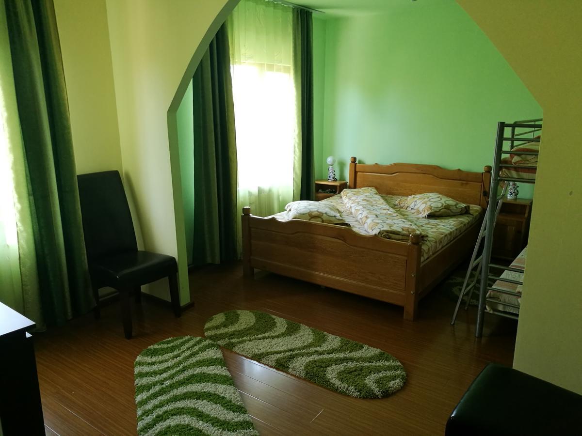 Pensiunea Ramona Cărpinişu Exterior foto