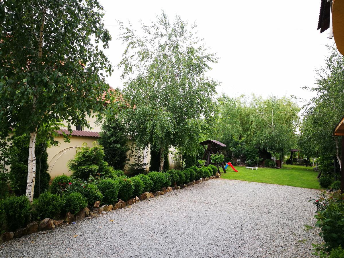 Pensiunea Ramona Cărpinişu Exterior foto